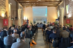 WhatsApp-Image-2024-09-30-at-16.48.27-5