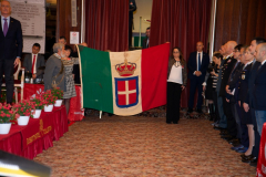 DSC_038168708